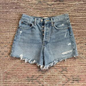 Agolde Parker Long 24